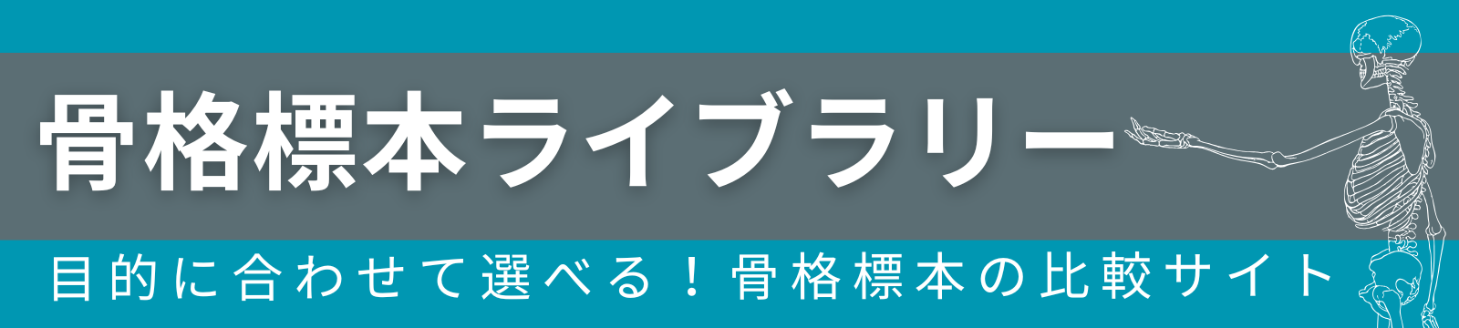 骨格標本ライブラリー